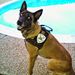 Profile Picture of keith champagne (@jpso187) on Pinterest
