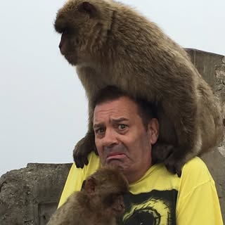 Profile Picture of davidmonks (@davidmonks) on Instagram