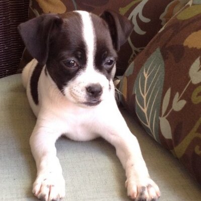 Profile Picture of Michelle Davin (@mdavin73) on Twitter