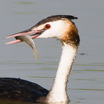 Profile Picture of Gabriel Gomez (@gabriel.gomezferran) on Flickr