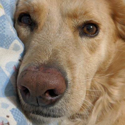 Profile Picture of Kyle (@Ender02448) on Twitter