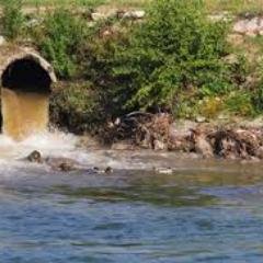 Luis Angel Araque - Twitter Profile Picture of Luis Angel Araque (@luisaraque31914) on Twitter