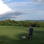 Profile Picture of Steve Brogan (@brogs_steve) on Instagram