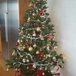 Sanaria Bashir Alkamisi - Instagram Profile Picture of Sanaria Bashir Alkamisi (@sanariaalkamisi) on Instagram