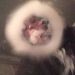 Profile Picture of Andrew Hetland (@andrewhetland) on Pinterest