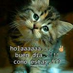 Profile Picture of Jose Tavera (@tavera8695) on Instagram