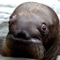 Profile Picture of Benjamin Caron (@benjamin-caron-16) on Quora