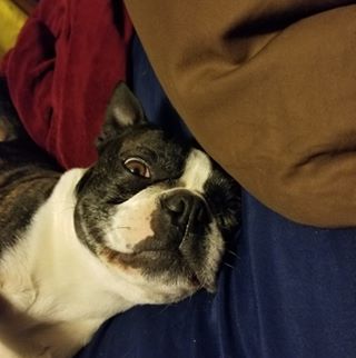 Profile Picture of Aaron Hennings (@aaron.hennings.902) on Facebook