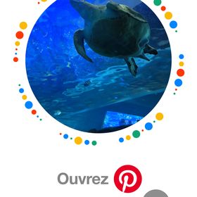Profile Picture of Josée Hamel Michael Ballesteros (@jmichaelballest) on Pinterest