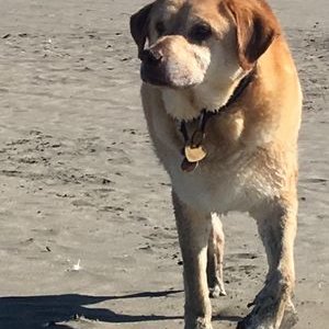 Joe Kravitz - Twitter Profile Picture of Joe Kravitz (@joe_kravitz) on Twitter