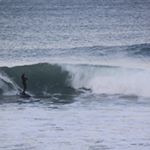 Profile Picture of Reno Guy (@reno.guy) on Instagram