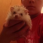 Profile Picture of Colin Erickson And Milton (@cj4152) on Instagram