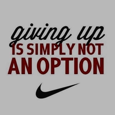 Profile Picture of Ron Gavin (@gavron0520) on Twitter