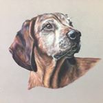 Profile Picture of Mark Vesey-Thompson (@flydreamer66) on Instagram