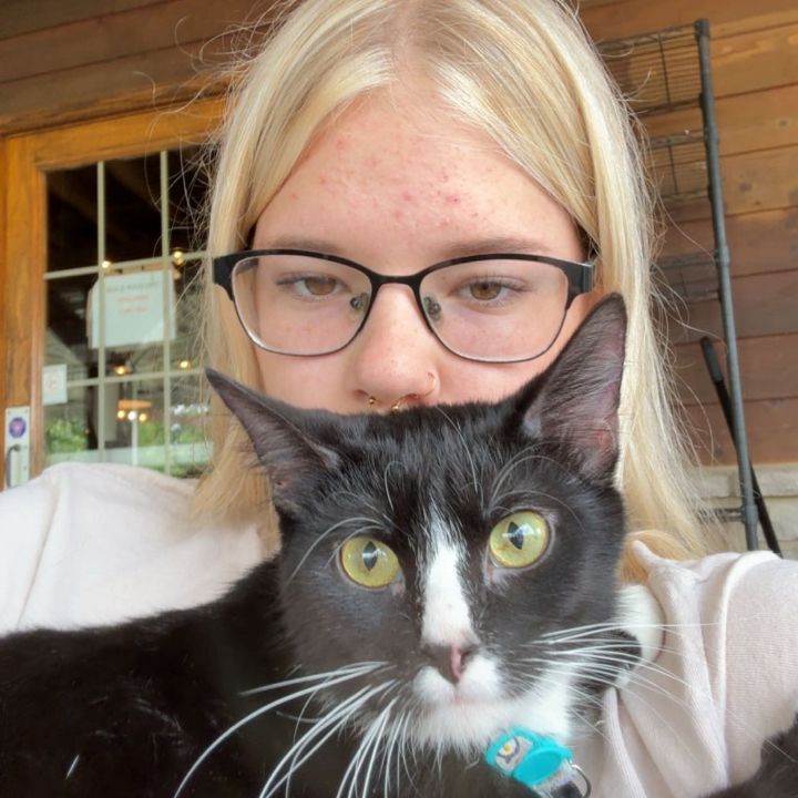 Profile Picture of lauryn (@klauryn1) on Tiktok