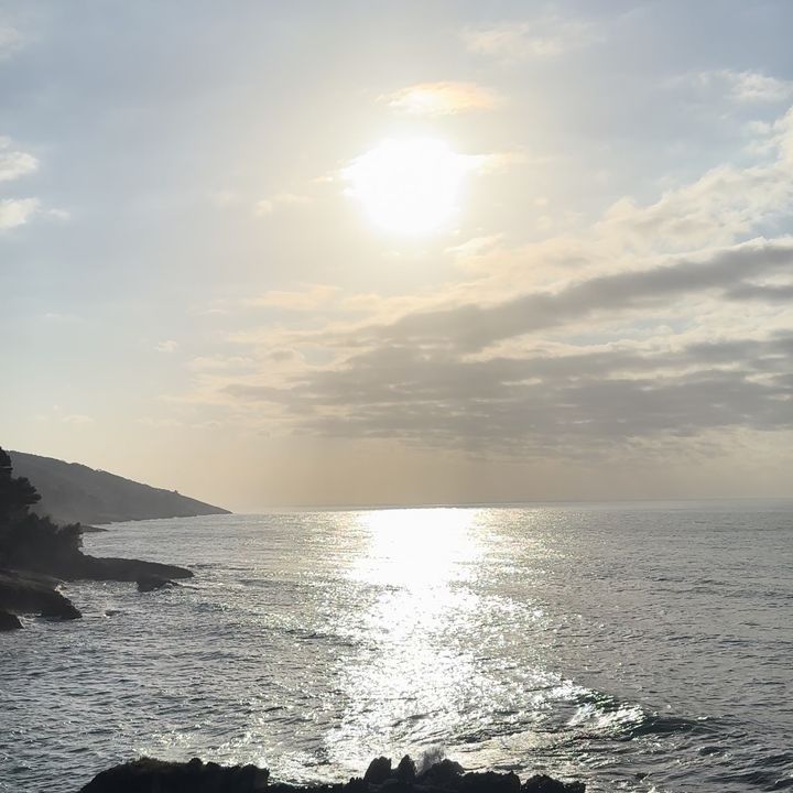 Profile Picture of user8987633261086 (@mirsadgrdoc) on Tiktok