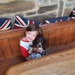 Profile Picture of Gordon Webb (@gordycordy) on Instagram