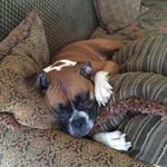 Profile Picture of Jake Howell (@jah616) on Instagram