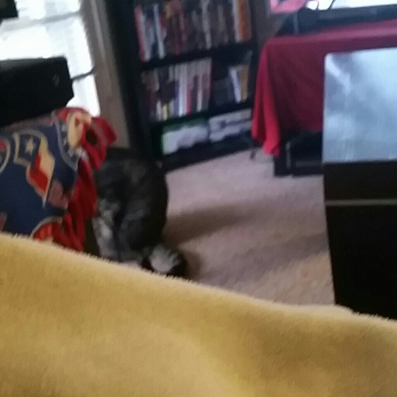 Cody Casto - Poshmark Profile Picture of Cody Casto (@chody) on Poshmark