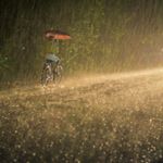 Profile Picture of Suhas K Ramesh (@suhas_k_ramesh) on Instagram