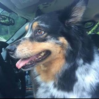 Profile Picture of Jim LaBrot (@jim.labrot) on Facebook