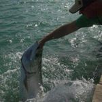 Profile Picture of Ed Hanson (@ed.hanson1) on Instagram