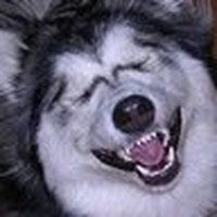 Profile Picture of Steve Mcclanahan (@steve-mcclanahan-7) on Quora