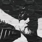 Profile Picture of Eric Marshall (@ericryanpatrick) on Instagram