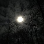 Profile Picture of Thomas Pollock (@pollock.t) on Instagram