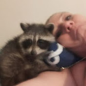 Profile Picture of Kathy Moore (@kathymoore1246) on Youtube