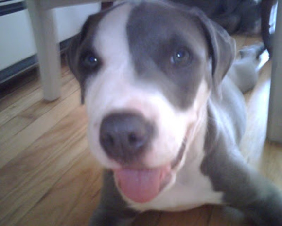 Tammy Toro - Poshmark Profile Picture of Tammy Toro (@tammy_toro) on Poshmark