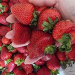 Profile Picture of Valentina Mikhailova (@valentina_chijik) on Instagram