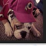 Profile Picture of Neil Rowlands (@rowlands3391) on Instagram