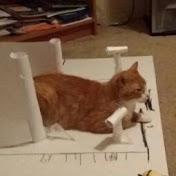 Profile Picture of Blake Cassels (@glazedapples4059) on Youtube