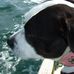 Profile Picture of Flossie Richards (Flossie Bear) (@flossie.richards) on Facebook