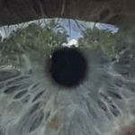 Profile Picture of Jason Ryall (@ryalljason) on Instagram