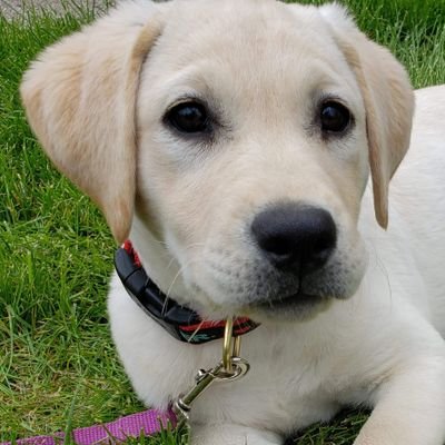 Moen Ron - Twitter Profile Picture of Moen Ron (@moen_ron) on Twitter