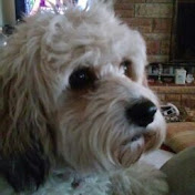 Profile Picture of Keely Reitman (@keelyreitman5416) on Youtube