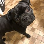 Profile Picture of Tara Belle Bennett (@tara_bennett2014) on Instagram