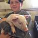 Profile Picture of Kenneth Grosen (@grosen007) on Pinterest