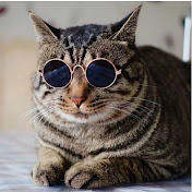 Profile Picture of Felix Yang (@felixyang330) on Youtube