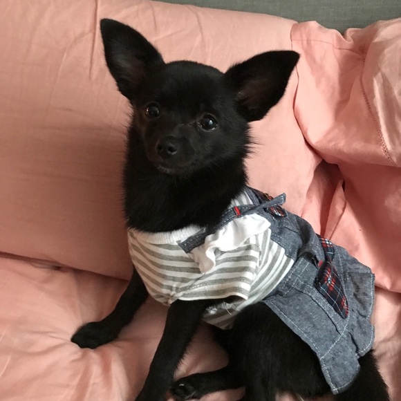 Sam Njila - Poshmark Profile Picture of Sam Njila (@samuelanjila) on Poshmark