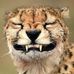 Profile Picture of Kyle Reeve (McLean ) (@kyle.reeve.52035) on Facebook