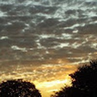 Profile Picture of Ian Swart (@ian-swart-6) on Quora