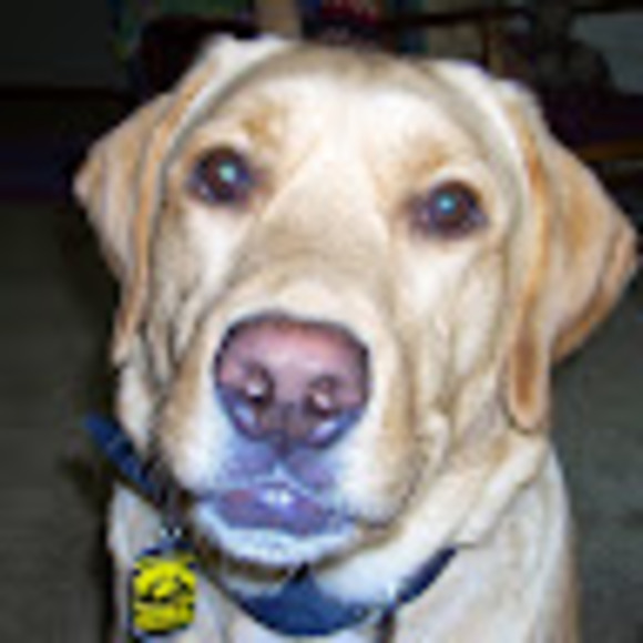 Profile Picture of Doug Taylor (@dougtaylor230) on Poshmark