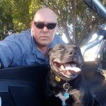 Profile Picture of James Hacker (@swanhacks) on Instagram