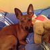 Profile Picture of Ernest Leclaire (@Ernest-Leclaire) on Facebook