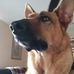 Profile Picture of Matthew Goldi (@matthew.goldi.5) on Facebook
