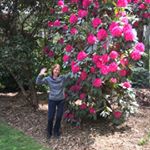 Profile Picture of Patricia Mcnicholas (@patmacnic) on Instagram