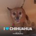Profile Picture of Coy Gibbons (@coy.gibbons.77) on Facebook